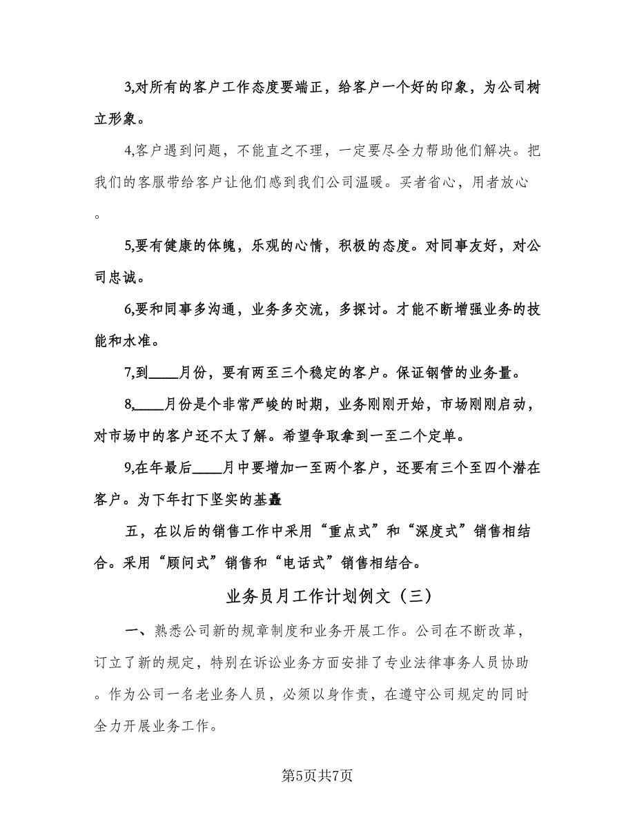 业务员月工作计划例文（三篇）.doc_第5页