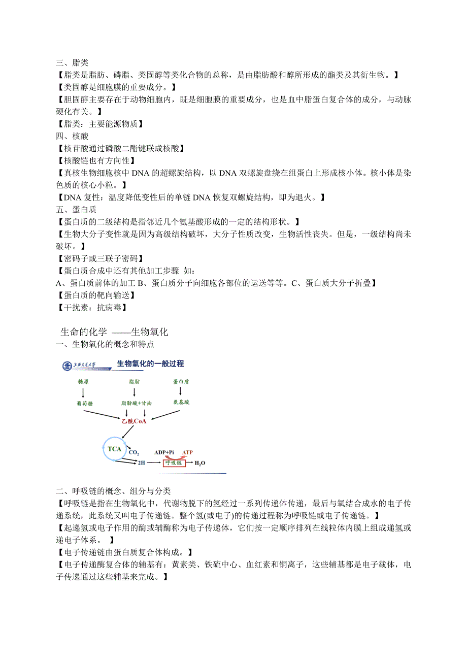 生物学导论复习[1].doc_第2页