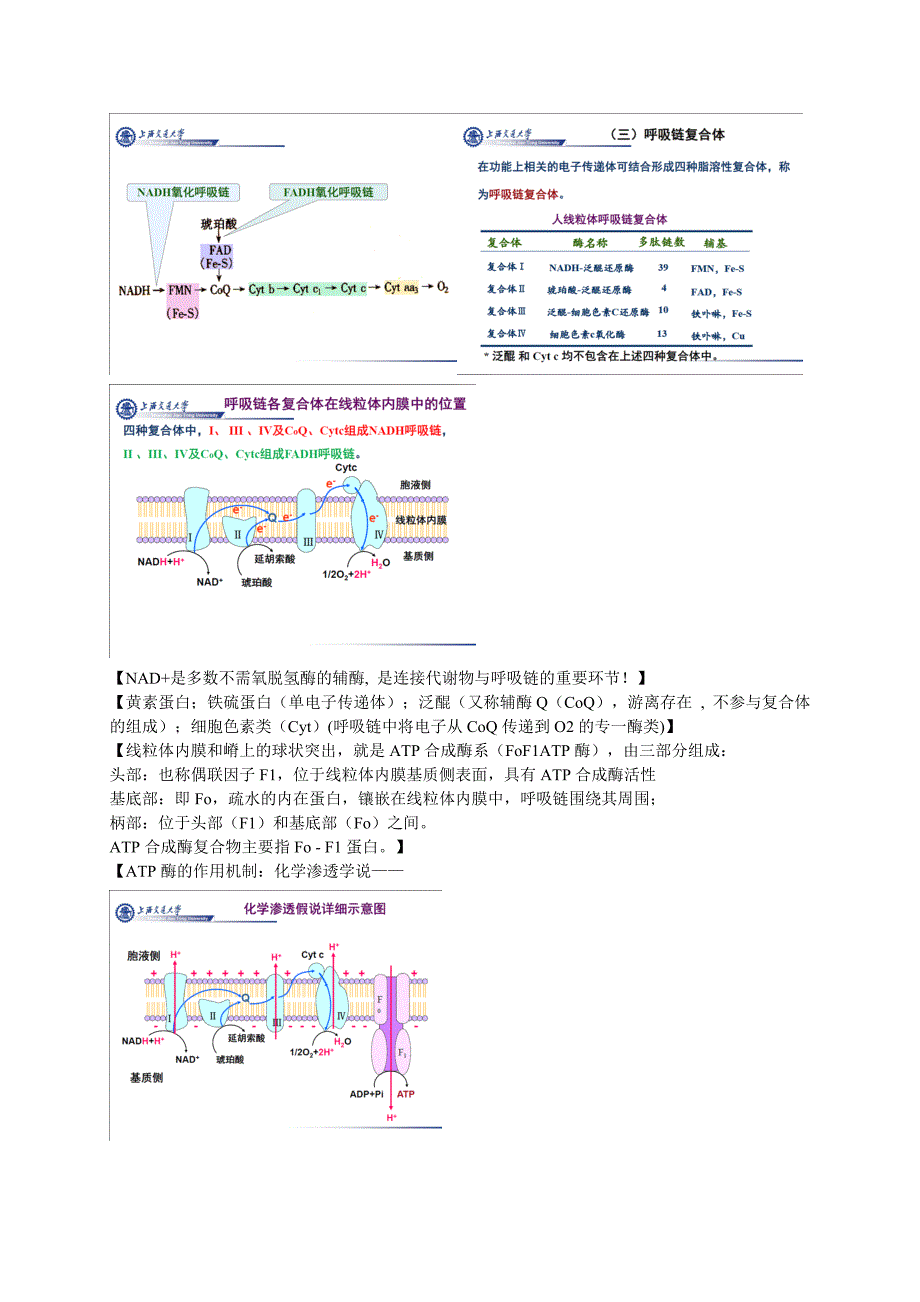 生物学导论复习[1].doc_第3页