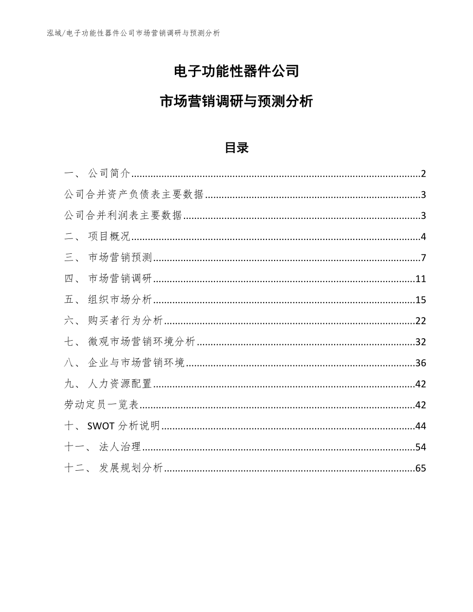 电子功能性器件公司市场营销调研与预测分析（参考）_第1页