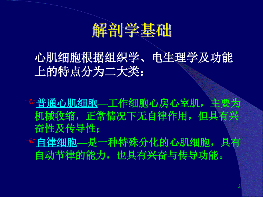 临床抗心律失常药物ppt课件_第2页