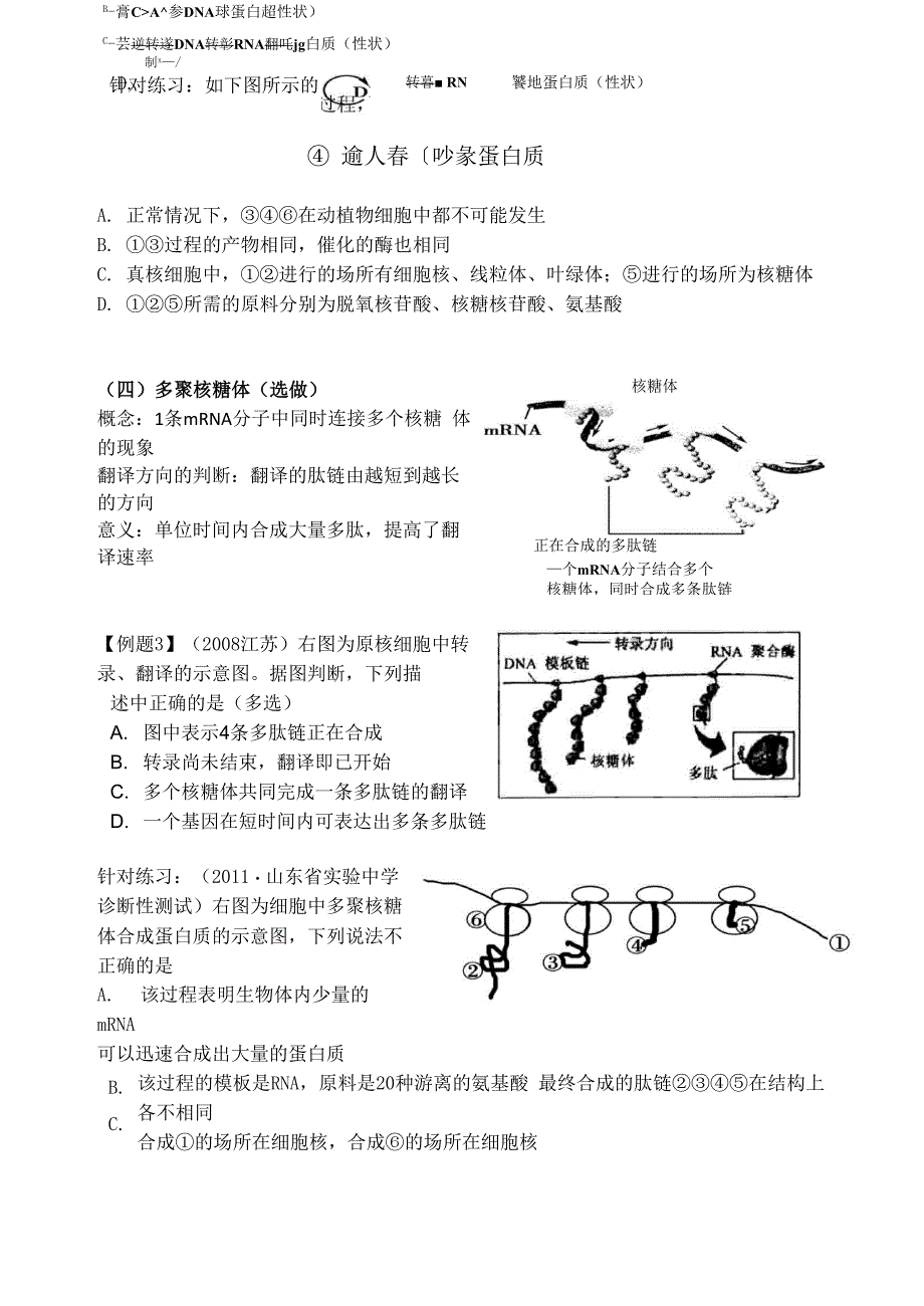 基因的表达完整版_第4页