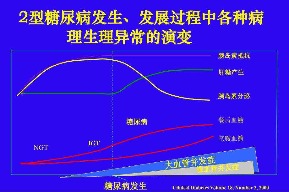 口服降糖药物的应用医大实习教学版_第3页