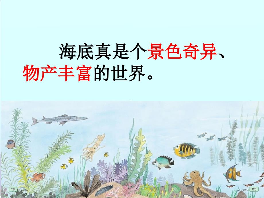 《海底世界》课件_第3页