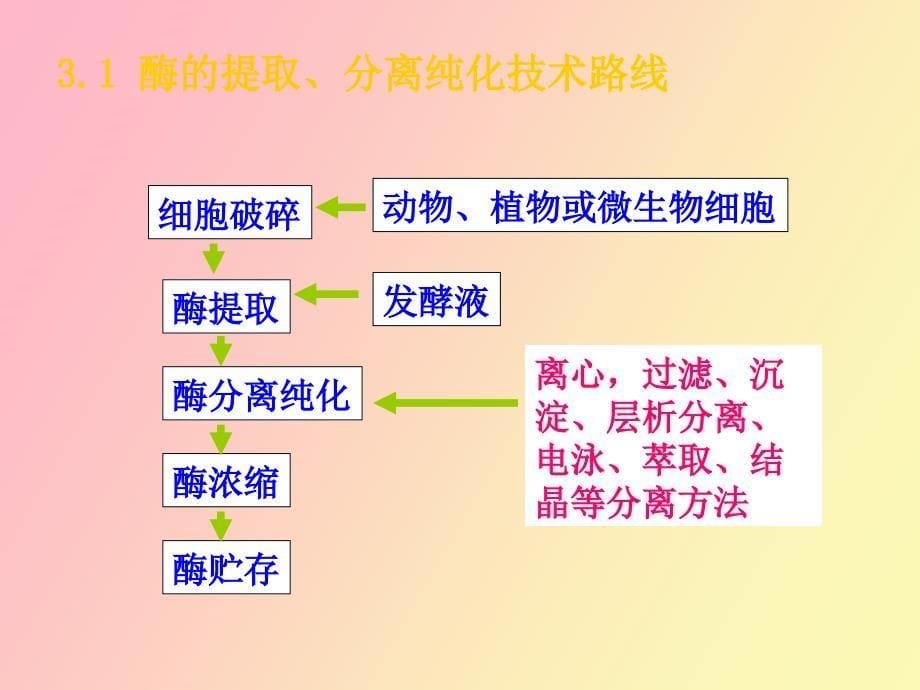 蛋白类酶的分离纯化_第5页