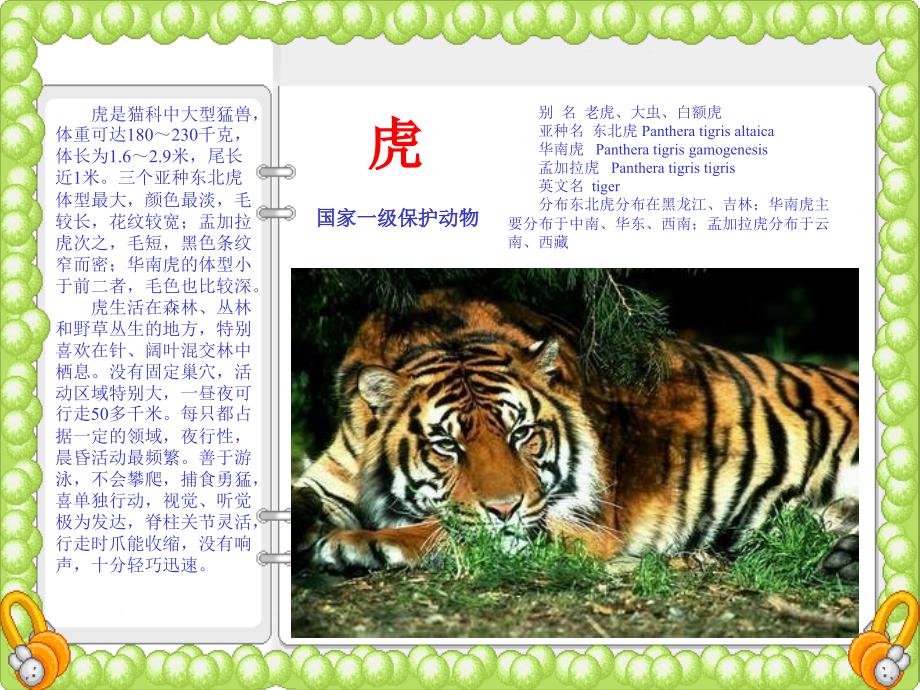 保护珍惜动物_第1页