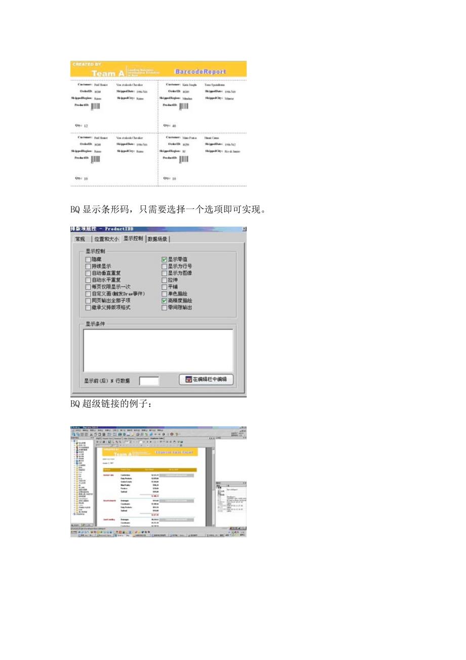 Business Objects 新增功能与BlueQuery 比较.doc_第4页