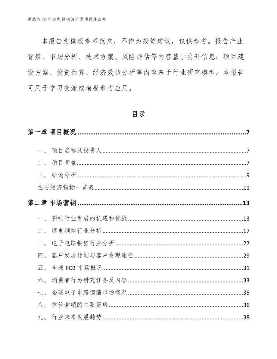 宁波电解铜箔研发项目建议书【参考范文】_第2页