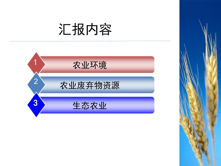 生态农业PPT（PPT41页)_第2页