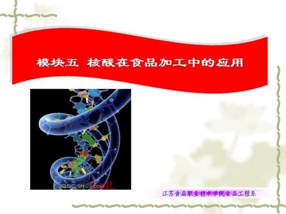 核酸在食品加工中的应用.ppt