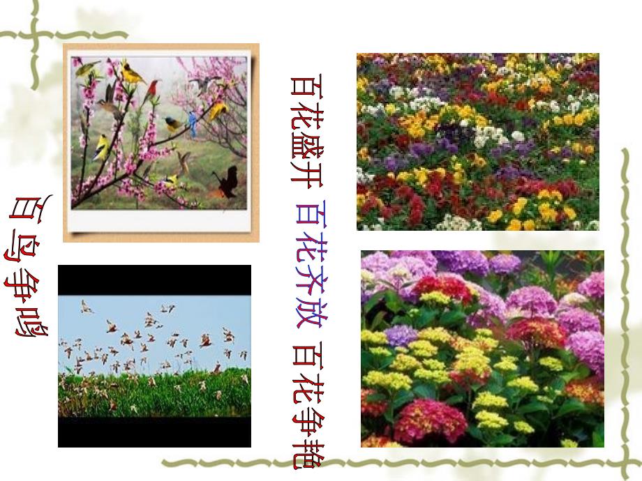 雨的色彩.ppt_第4页