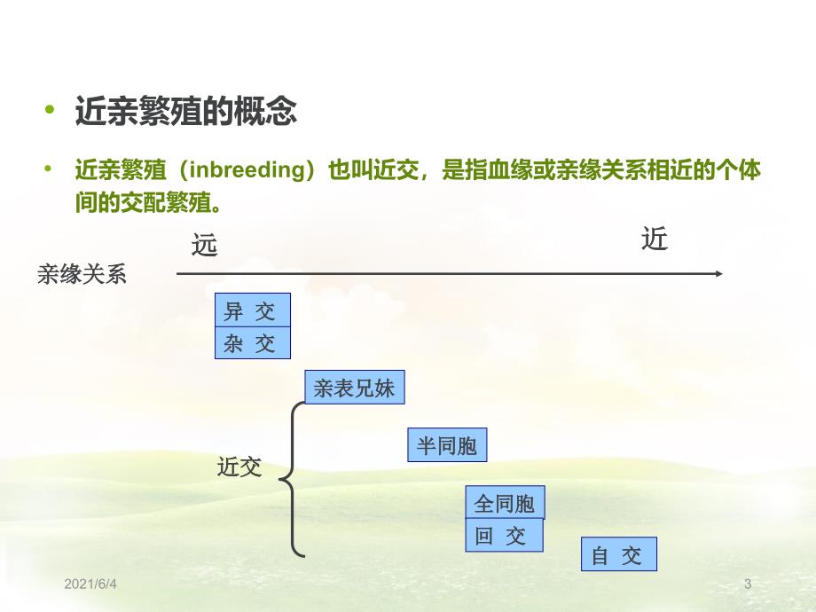 近亲繁殖与杂种优势_第3页