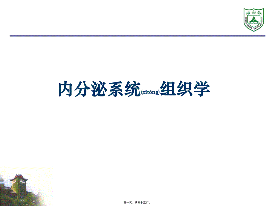 内分泌系统组织学课件_第1页