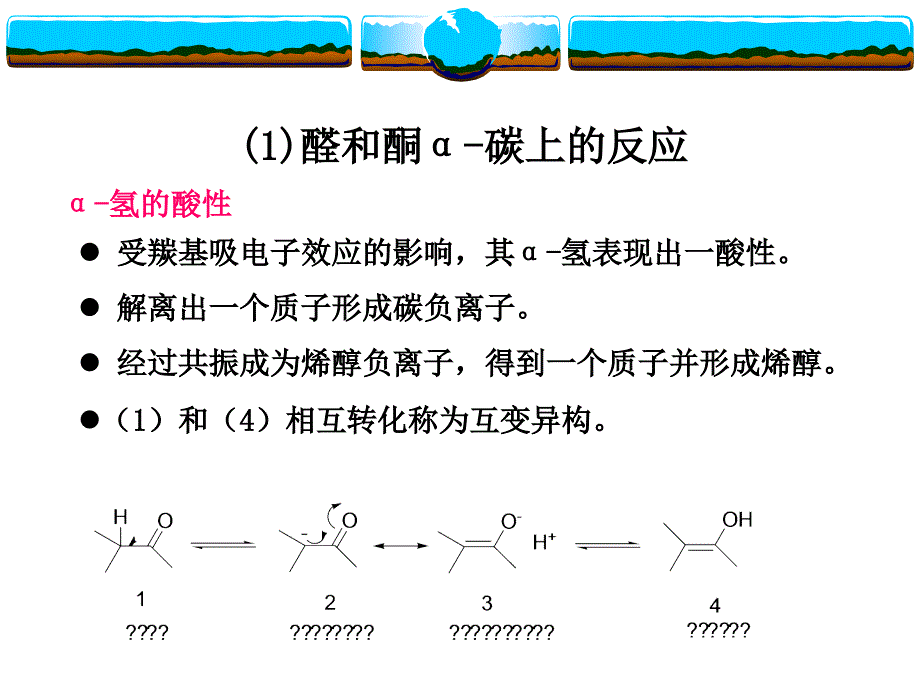 7.醛酮羧羧酸及其衍生物的碳上的反应_第2页