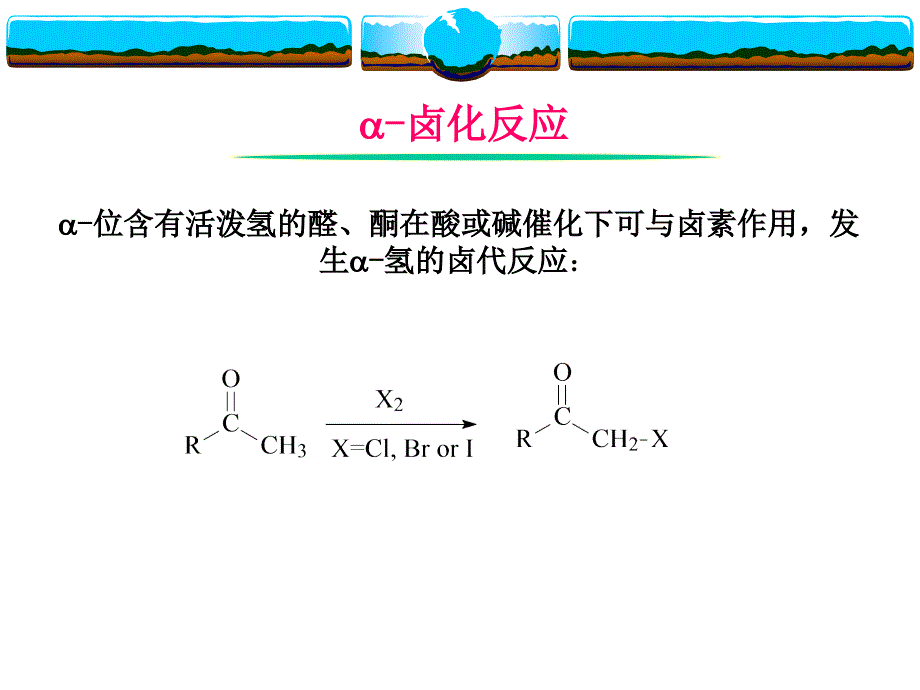 7.醛酮羧羧酸及其衍生物的碳上的反应_第4页