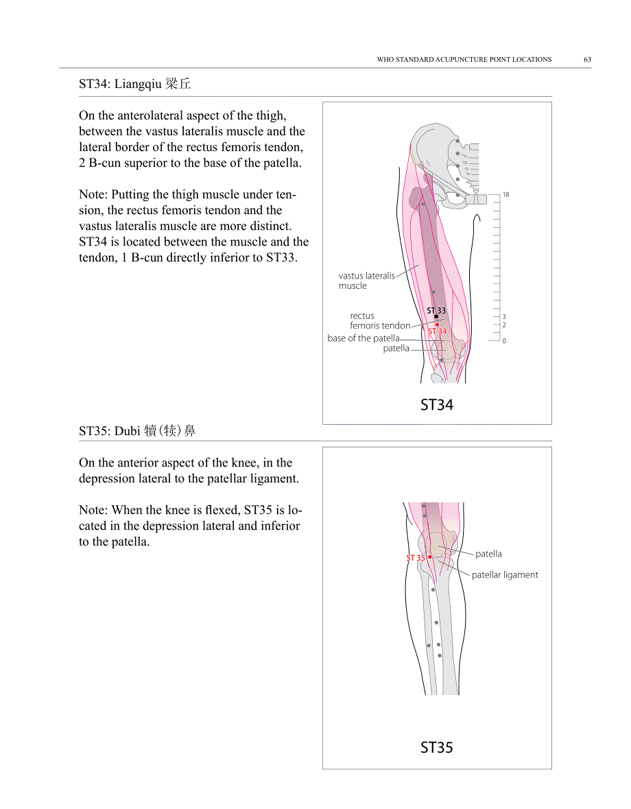 part3_世界卫生组织针灸标准穴位3_第3页