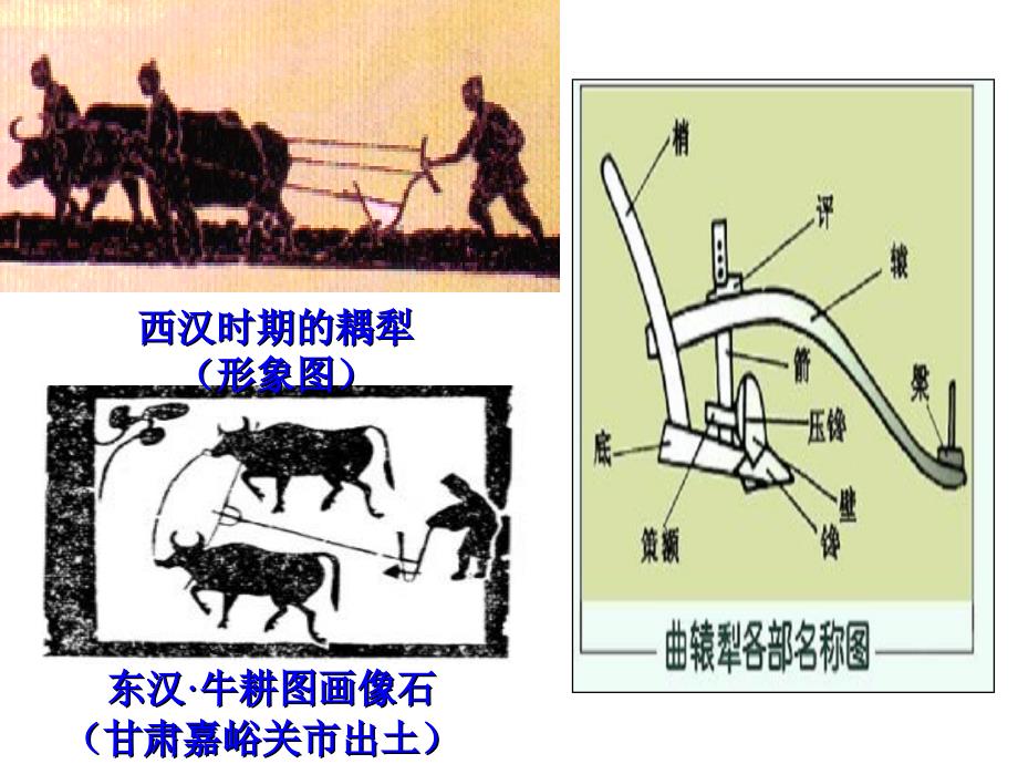 必修2第一单元小结_第3页