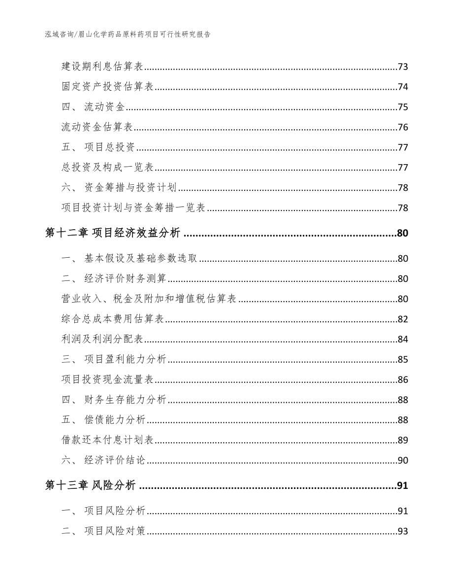 眉山化学药品原料药项目可行性研究报告_参考模板_第5页