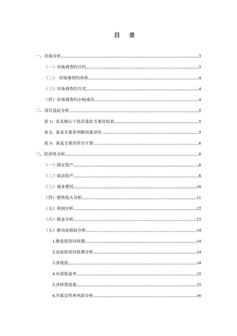 衣见倾心干洗店可行性分析与评估报告_第2页