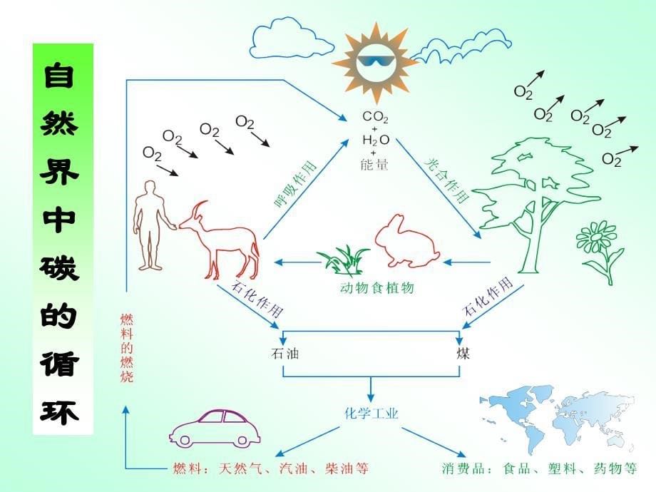 1第一章 有机化合物的结构和性质_第5页