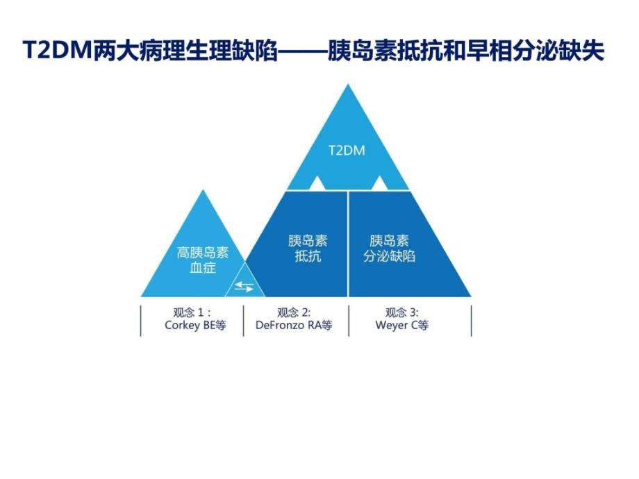 利拉鲁肽降低内脏脂肪.ppt_第3页