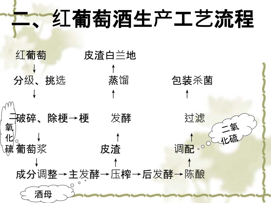 酿制葡萄酒的方法及工艺_第4页