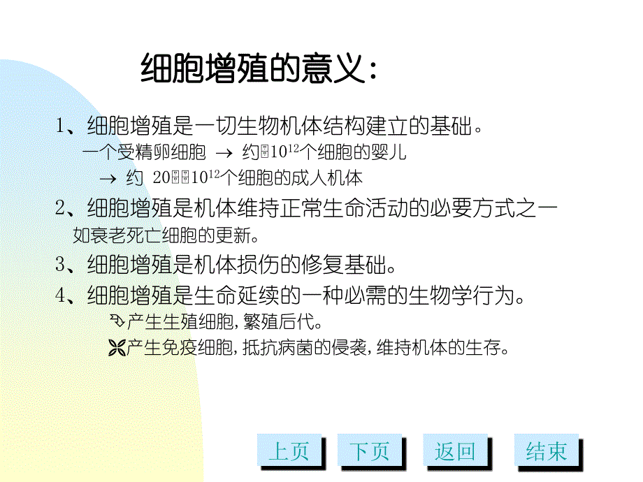 细胞增殖多媒体PPT课件_第3页