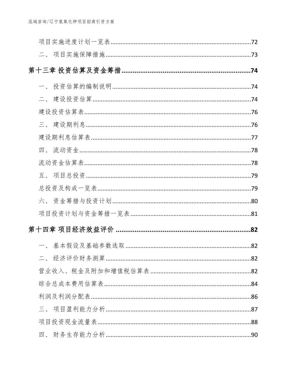 辽宁氢氧化钾项目招商引资方案模板范本_第5页