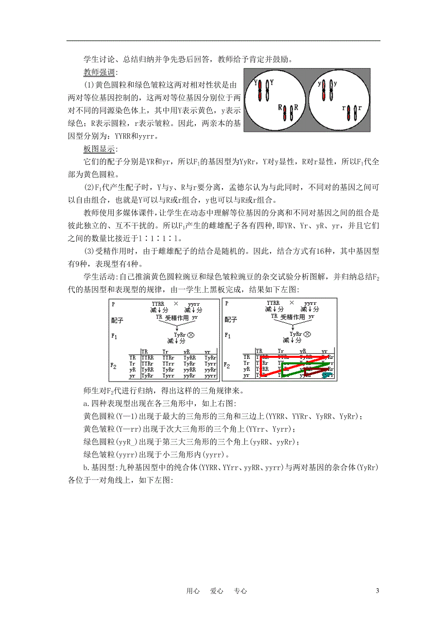 高中生物孟德尔的豌豆杂交实验二教案7新人教版必修2_第3页