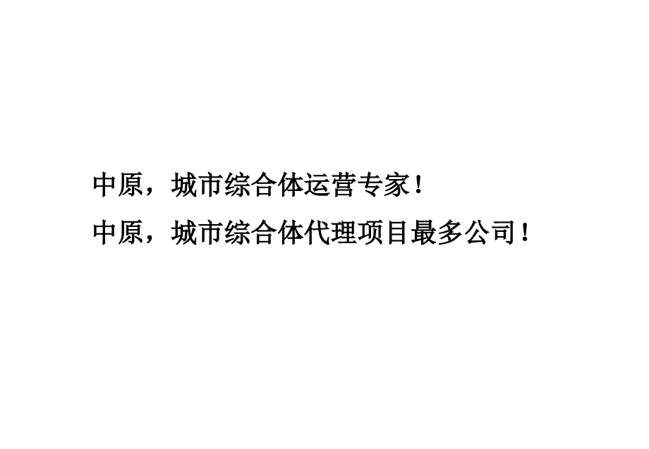 0124湘林国际城市广场项目定位及运营策略_第3页