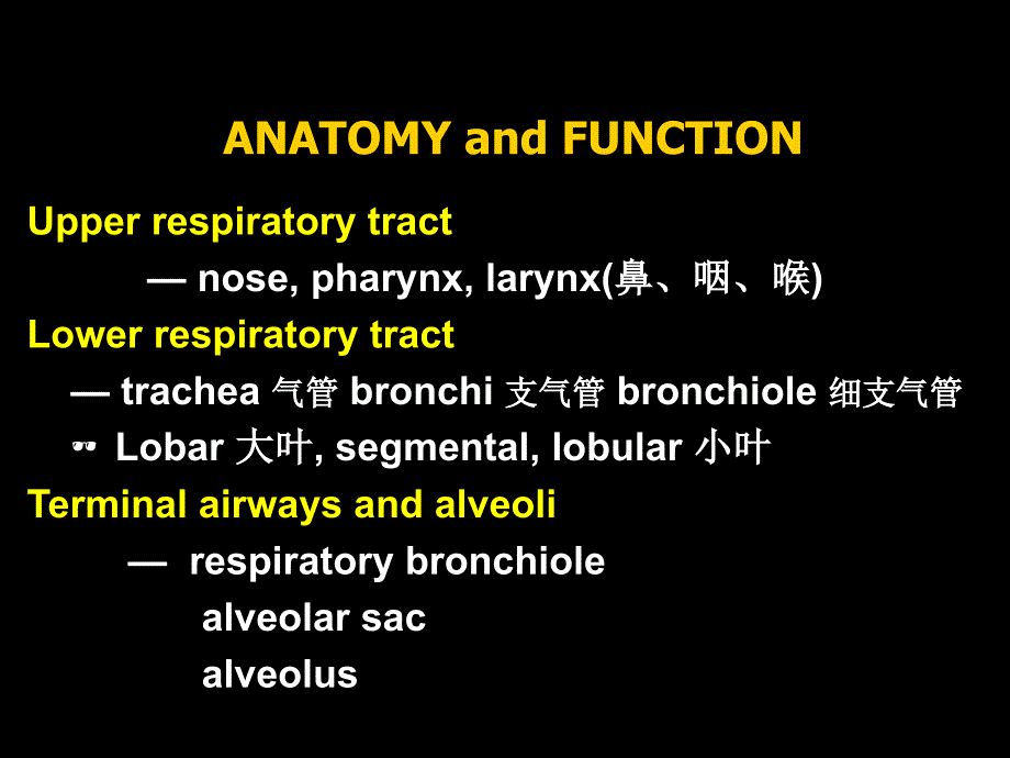 病理解剖学课件：06 呼吸系统疾病_第2页