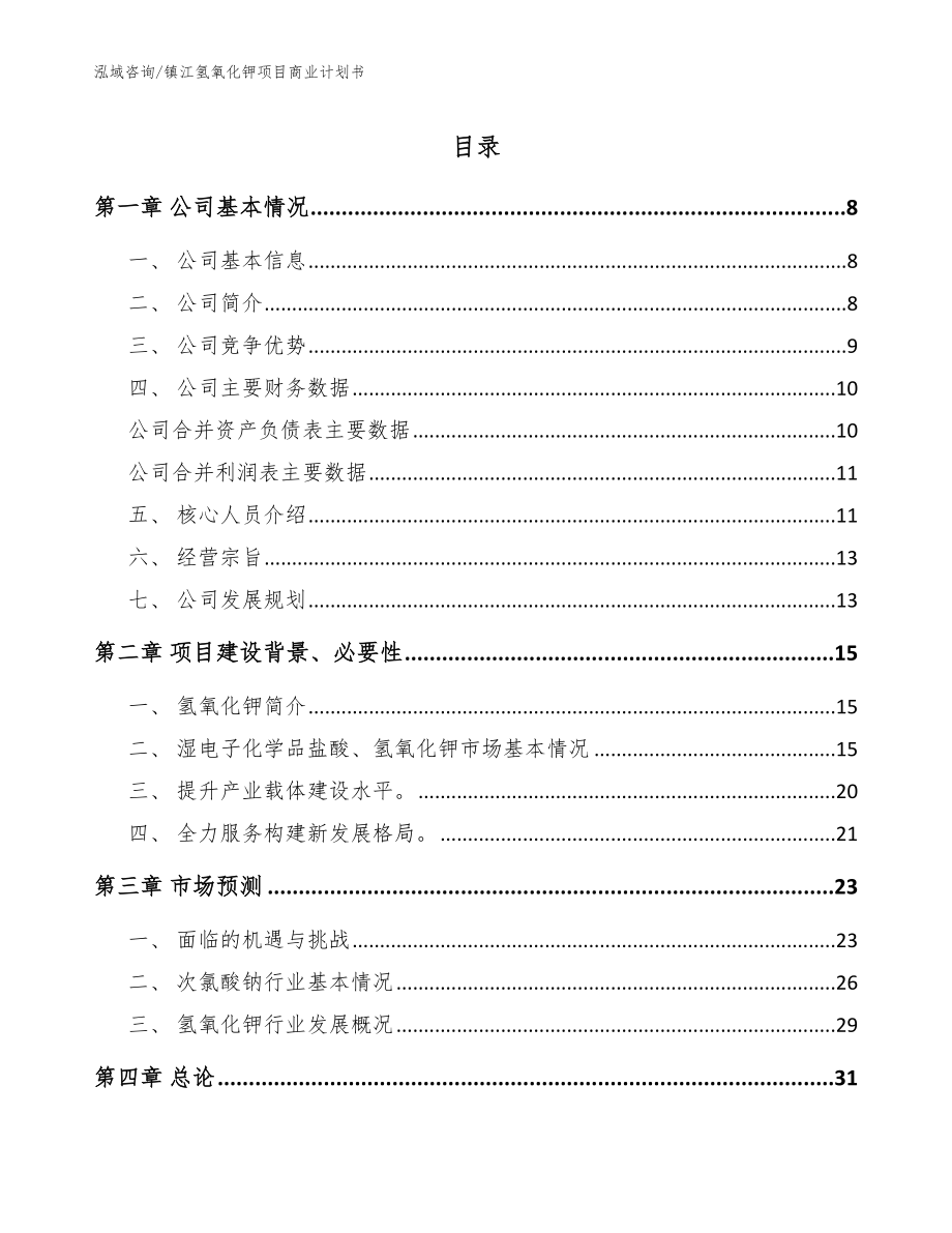 镇江氢氧化钾项目商业计划书【模板范文】_第1页