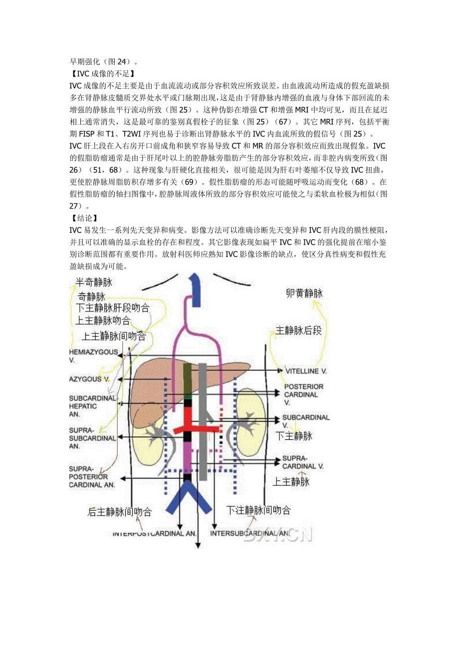 下腔静脉成像——一条很少走的路.doc_第5页