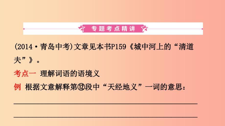 山东省临沂市2019年中考语文 专题复习十 文学类作品阅读课件.ppt_第3页