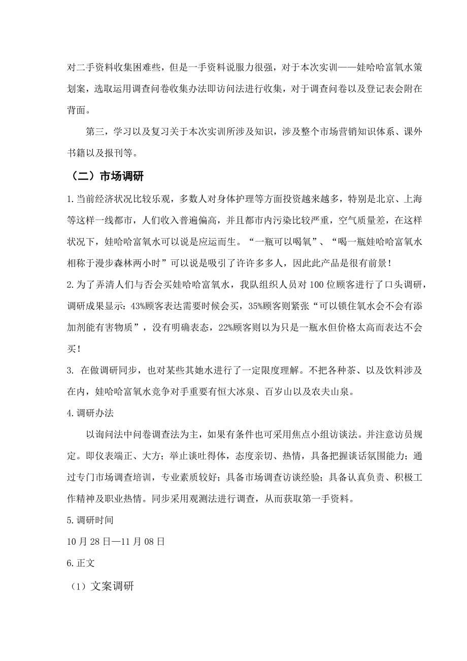 营销策划实训报告样本.doc_第5页