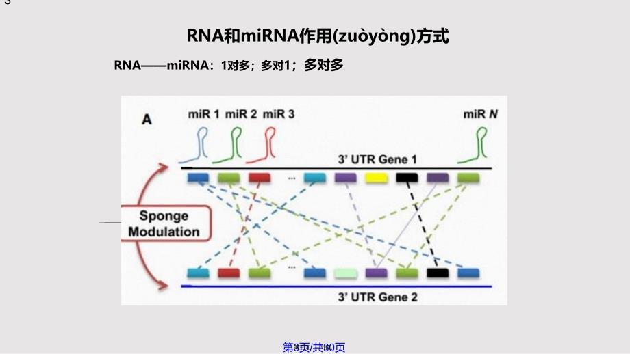 ceRNA机制及研究方案介绍实用教案_第3页