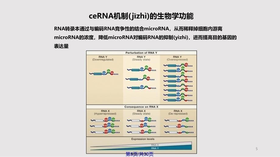 ceRNA机制及研究方案介绍实用教案_第5页