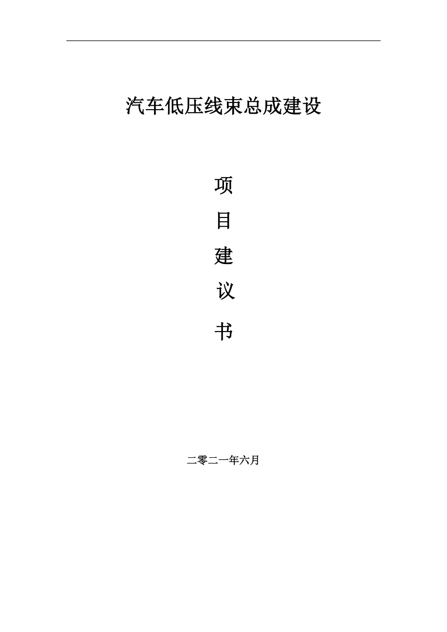 汽车低压线束总成项目建议书写作参考范本_第1页