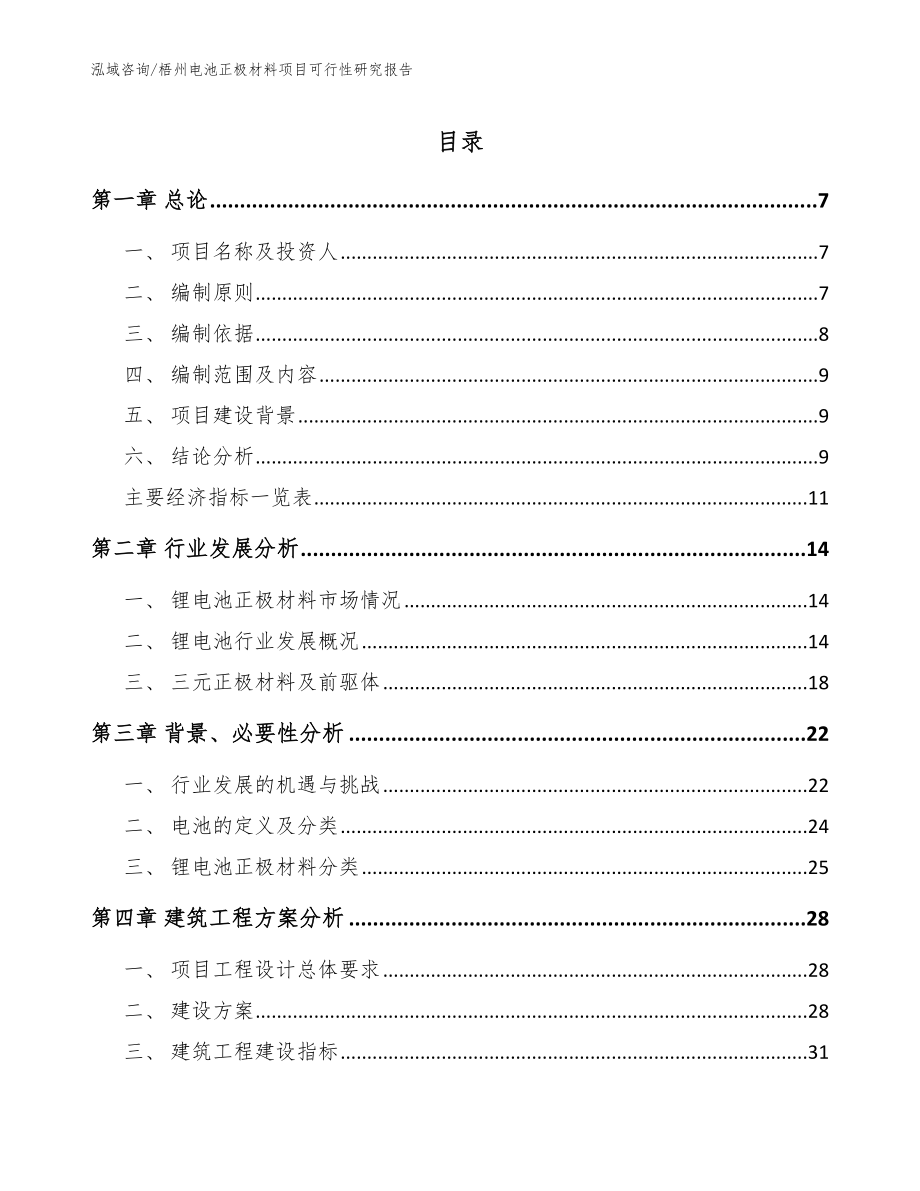 梧州电池正极材料项目可行性研究报告_参考范文_第1页