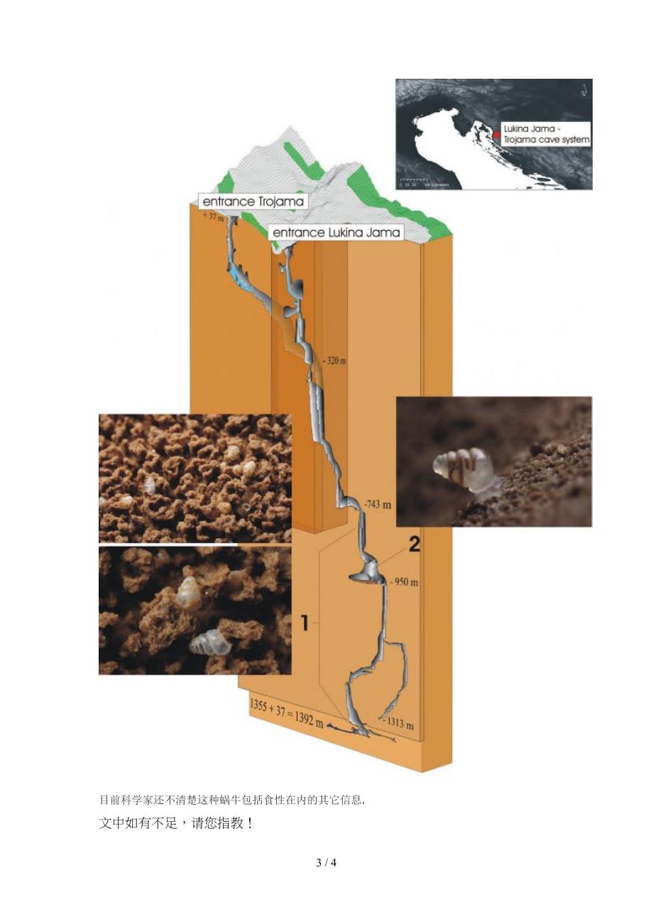 克罗地亚地下发现透明蜗牛_第3页
