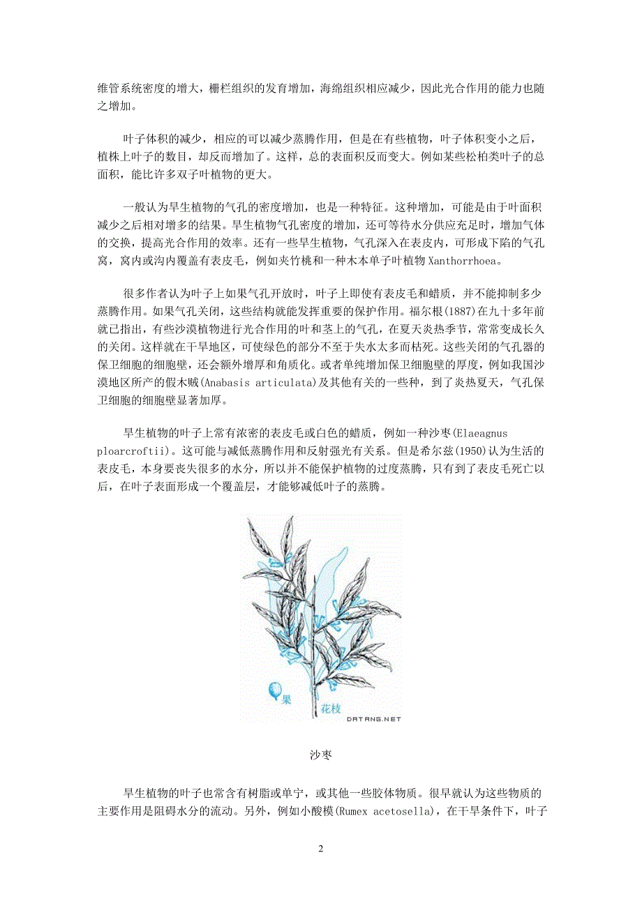 植物的形态结构与环境的关系_第2页