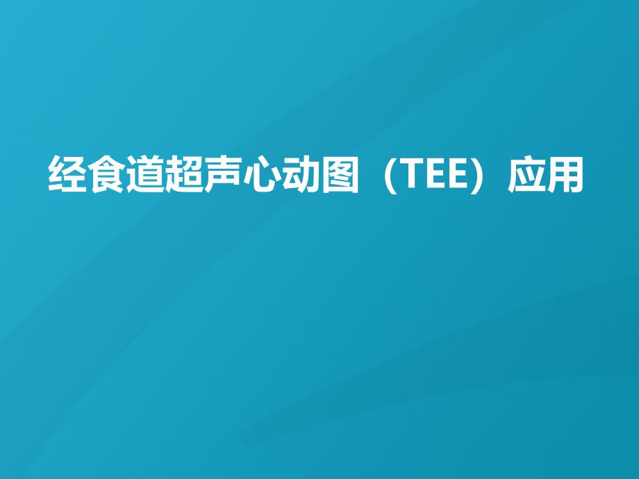 经食道超声心动图应用ppt课件_第1页