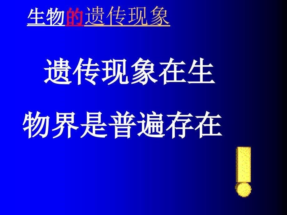 渠县宝城初级中学李相_第5页