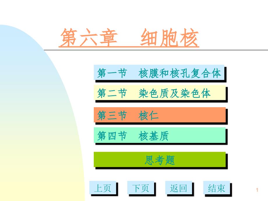 细胞核多媒体幻灯片_第1页