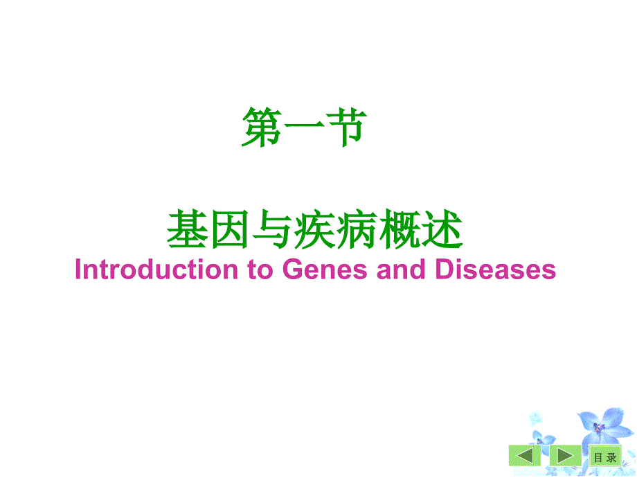 第二十七章基因与疾病GENEANDDISEASE_第2页