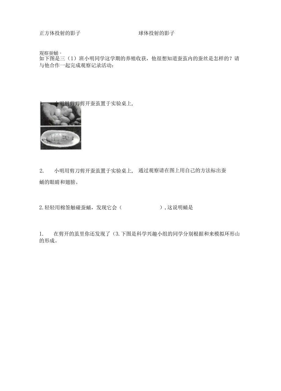 新教科版三年级下册科学期末测试卷（名师系列）word版.docx_第5页