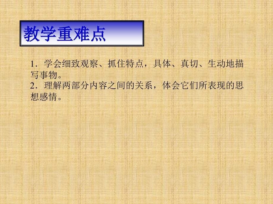 人教版七年级语文上册课件9从百草园到三味书屋_第5页