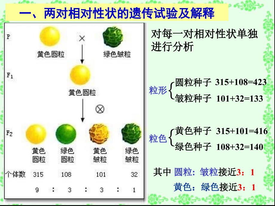 基因的自由组合定律新授课件_第2页