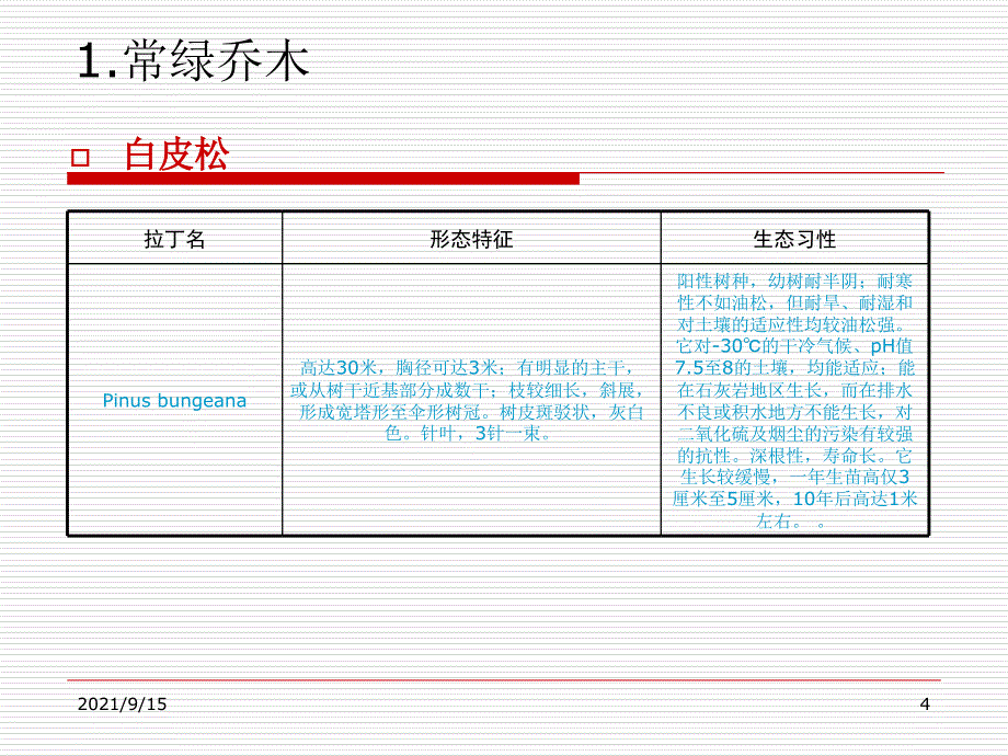 园林常见树木(1)_第4页