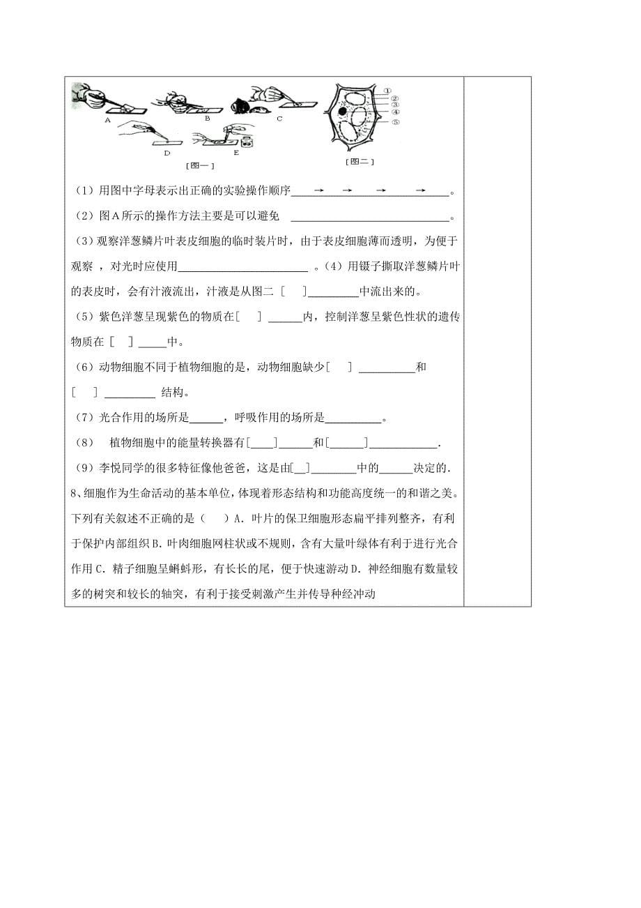 精选类山东省安丘市七年级生物上册1.2.1细胞的结构和功能导学案无答案济南版通用_第5页